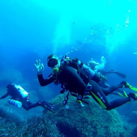 Appartamento Modern 1br Location